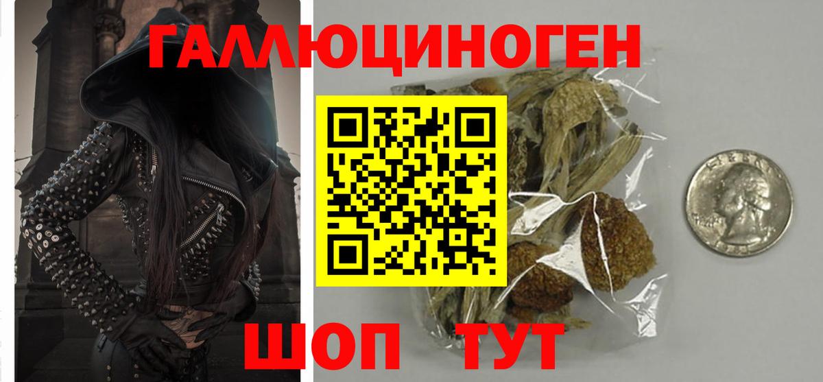 Галлюциногенные грибы прущие грибы Калач-на-Дону