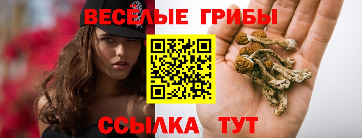 Калач-на-Дону  Псилоцибиновые грибы MAGIC MUSHROOMS  Вход с VPN 